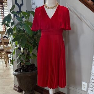 Gorgeous Red Express Vintage Inspired Pleated Dress